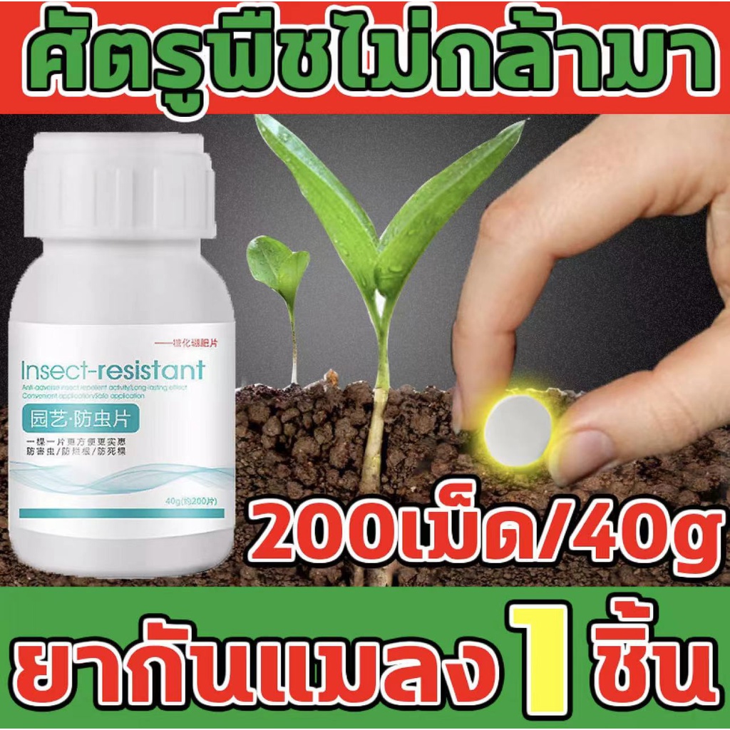 ออกฤทธิ์นาน120วัน ยากำจัดเพลี้ย ยากำจัดสัตรูพืช ฆ่าแมลงเท่านั้น ไม่ทำร้ายพืช กำจัดแมลงได้กว้างขวาง 40g(200เม็ด)