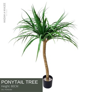 Ponytail Palm - Height 85 cm. ต้นแส้ม้า ความสูง85 ซม.ต้นไม้ปลอมเกรดพรีเมี่ยมเพื่อการตกแต่ง ต้นไม้ประดิษฐ์ตกแต่งบ้าน คอนโ