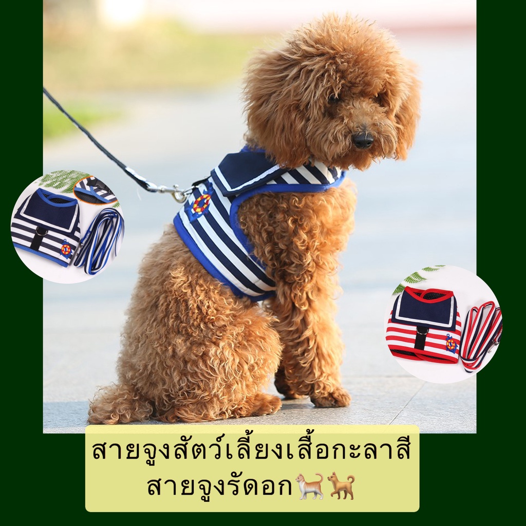 BN-399 ชุดสายจูงสัตว์เลี้ยงสุดน่ารัก สีแดงสดใสและน้ำเงินเข้ม มีให้เลือกทั้งหมด 5 ขนาด เพื่อความเหมาะสมกับน้องหมา น้องแมว