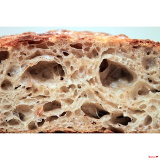 จัดส่งตรงจุดOregon Trail Sourdough Starter