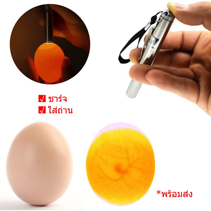ไฟส่องไข่ ไฟฉายส่องไข่ ไฟฉายเช็คเชื้อไข่ ไฟฉายสำหรับส่องไข่ไก่ ไข่เป็ด ไข่นก ไฟเช็คเชื้อไข่ไก่