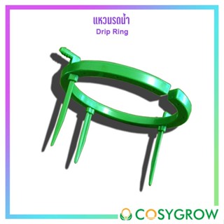 แหวนรดน้ำ Drip Ring รดน้ำง่ายสะดวก แหวนช่วยรดน้ำ ถาดช่วยรดน้ำ วงแหวนน้ำหยด