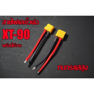 สายไฟและขั้วต่อ XT-90 / DC to DC ทนกระแสสูง120Ah ยาว 23-25cm [ส่งจากไทย]