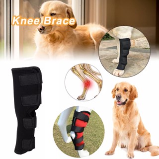 Pet Injury Prevention Lick Guard Leg Support Hock DogLemi ผ้ารัดขาสุนัข แบบยาว เฝือกอ่อน บรรเทาอาการข้อขาอักเสบ