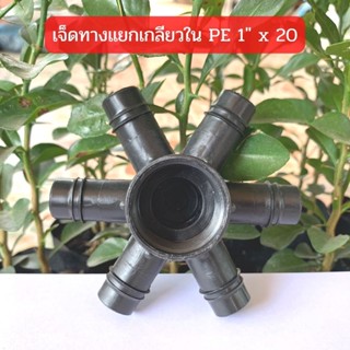 ข้อต่อเจ็ททางแยกเกลียวใน PE 1" x 20