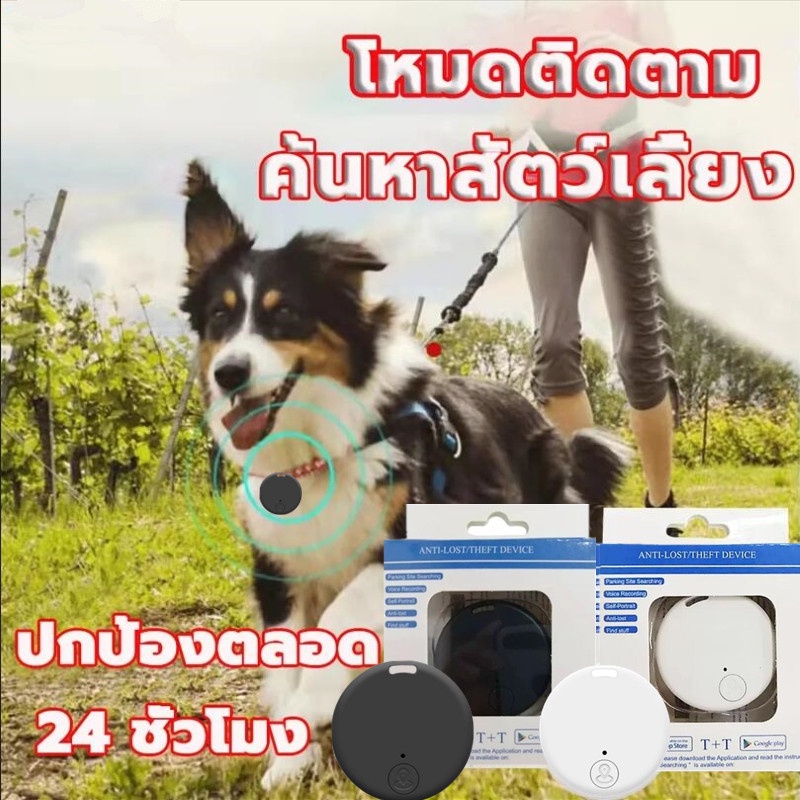 เครื่องติดตามสัตว์เลี้ยง GPS สำหรับสัตว์เลี้ยง gpsแมว จีพีเอสแมว GPSสัตว์เลี้ยง dog GPS cat gps APP 