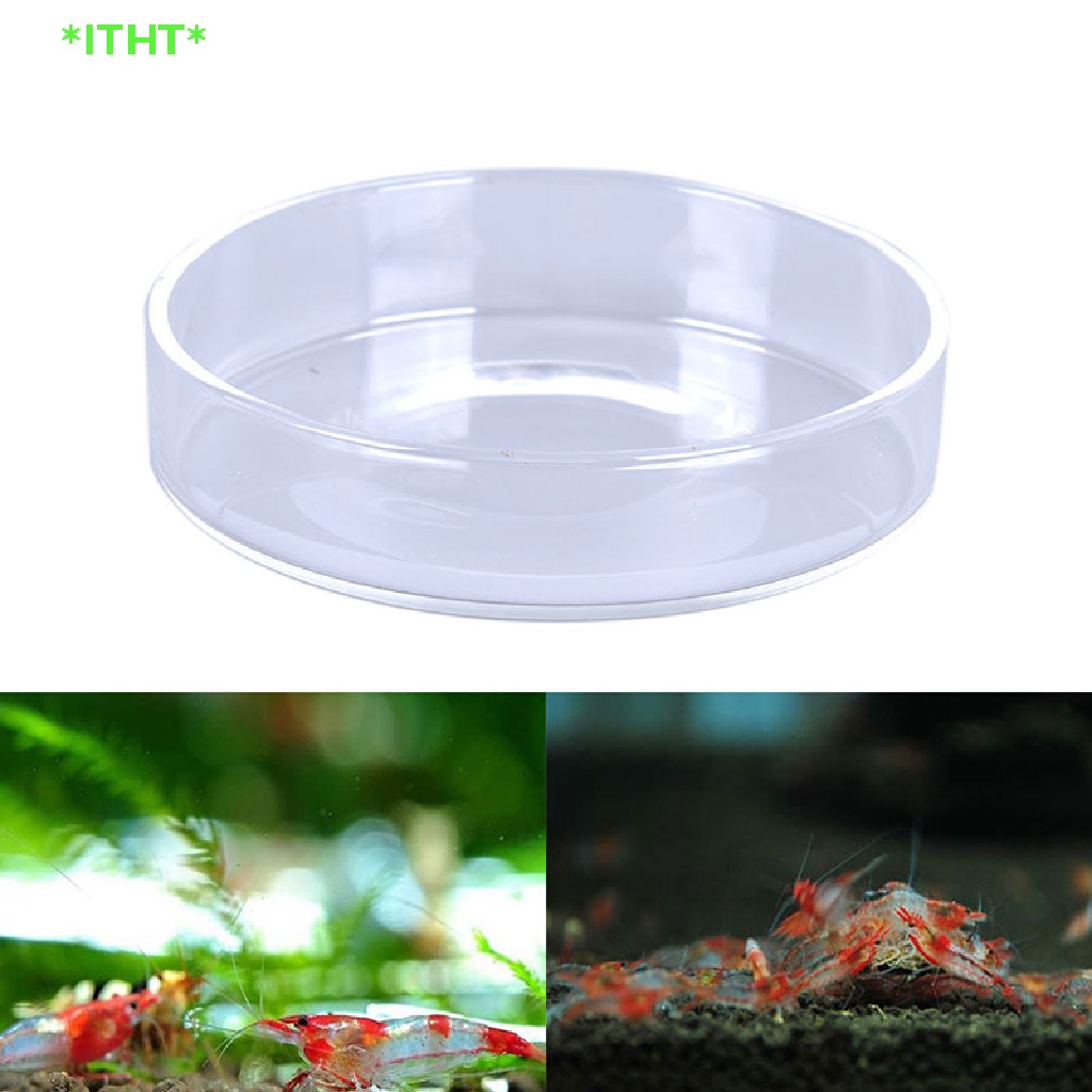 ITHT>ถาดจานใส่อาหารแก้วใสทรงกลมชามป้อนอาหารตู้ปลาใหม่