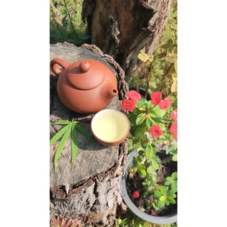 ชา ชาสมุนไพร ชากัญชง ตราเนื้อหอม มีอย. Hemp Tea Organic100% หอมละมุน ทานง่าย ปรับสมดุล