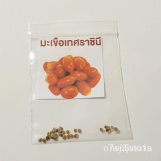 (การันตีอัตรางอก)การันตีอัตรางอก มะเขือเทศราชินีถูกที่สุด  9 บ. ☘️ปลูกง่เมล็ด/ง่าย ปลูก สวนครัว ดอก ต้น/อินทรีย์ NGVR