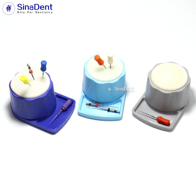 1pcs Dental Sponge Endo Stand Random Color Endo Holder for Endodontic Files Cleaning Autoclavable  D