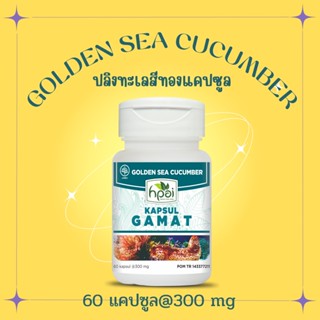 ปลิงทะเล พันธุ์สีทอง บรรจุแคปซูล แท้ 100% Gamat Kapsul