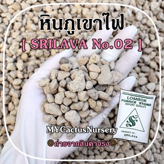 หินภูเขาไฟ ศรีลาวา No.02 หินพัมมิส SRILAVA LOMBOK PUMICE STONE วัสดุปลูกต้นไม้ หินกรองตู้ปลา