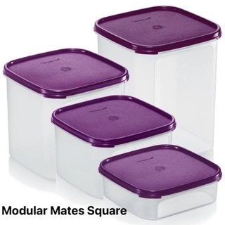 Tupperware รุ่น Modular Mates Square