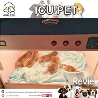 ตู้พ่นยา ตู้อนุบาลและพักฟื้นสัตว์เลี้ยง ให้ออกซิเจนขนาดใหญ่ ไซส์ L icu ขนาด หน้ากว้าง 60*สูง40ลึก40cm.