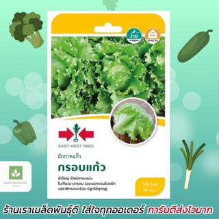 ผักกาดแก้ว กรอบแก้ว สลัดห่อ 160เมล็ด เมล็ดพันธุ์ Lettuce ศรแดง