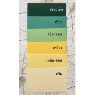 (ขนาด A3) กระดาษสีร้อยปอนด์ กระดาษร้อยปอนด์สีอเนกประสงค์ หนา 210 แกรม