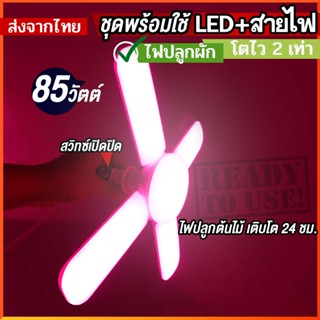 ไฟต้นไม้ หลอดไฟปลูกต้นไม้ไฮโดรโปนิกส์ led grow light ขั้ว E27* ปลูกกระบองเพชร (เฉพาะหลอดไฟ) ไฟปลูกพืช ไฟเลี้ยงต้นไม้