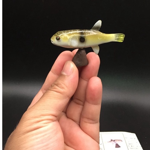 ฟิกเกอร์ ปลาจิ๋ว ปลาปักเป้าหญ้า  ตากลม น่ารัก Furuta Kaiyodo Grass Puffer Fish Miniature Animal Mini Realistic Figure Ja