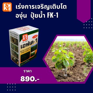 ปุ๋ยน้ำ เร่งการเจริญเติบโต เพิ่มผลผลิต องุ่น ประสิทธิภาพสูง FK-1 เร่งโต FK-3 ขยายขนาดผล สำหรับพืชออกผลทุกชนิด โดยFK