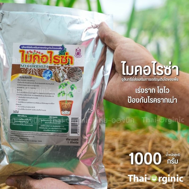 ไมคอร์ไรซ่า 1 กิโลกรัม Mycorrhiza 💥มั่นใจ100% สินค้าล็อตใหม่ล่าสุด ซื้อกับนักวิจัยและผู้ผลิตโดยตรง 💥