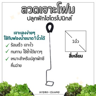 &lt;2ชิ้นสุดคุ้ม&gt; ที่เจาะโฟม ลวดเจาะโฟม แบบสี่เหลี่ยม ปลูกผักชี คึ่นช่าย อุปกรณ์ปลูกผักไฮโดรโปนิกส์ คงทนใช้ซ้ำได้