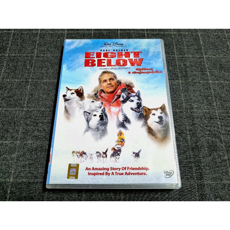 DVD ภาพยนตร์ผจญภัยน้องหมาสุดน่ารัก ไปกับ Paul Walker "Eight Below / ปฏิบัติการ 8 พันธุ์อึดสุดขั้วโลก