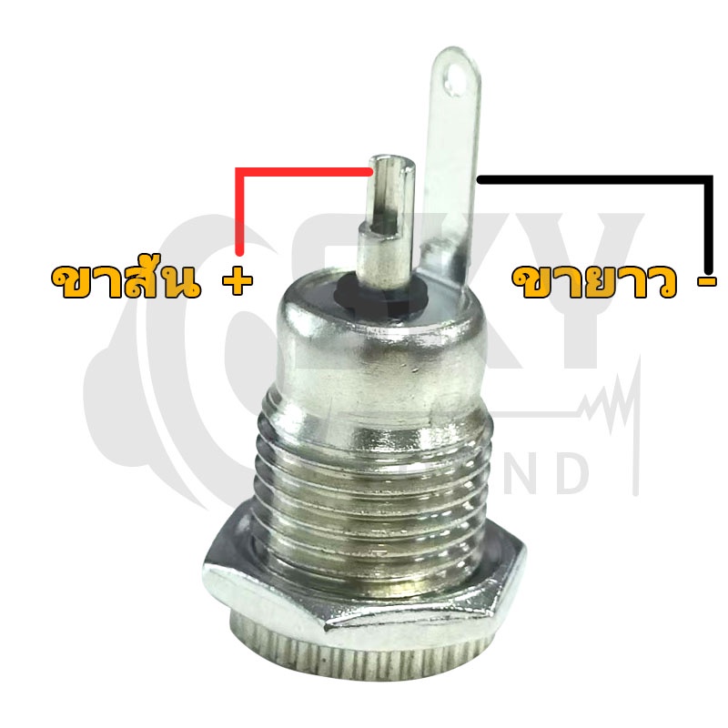 รูปภาพ 4