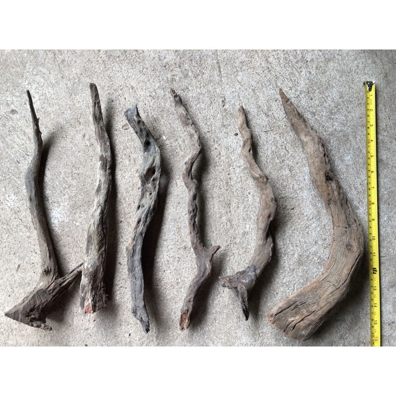 Aquarium Driftwood ราก กิ่ง ขอนไม้จมน้ำ สำหรับตกแต่งตู้ปลา งู diy พร๊อพถ่ายรูป