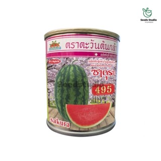 แตงโม ซากุระ495 ตราตะวันต้นกล้า 🍉💥เนื้อหวาน กรอบ ผลรีสวย ทนการขนส่ง💥🍉