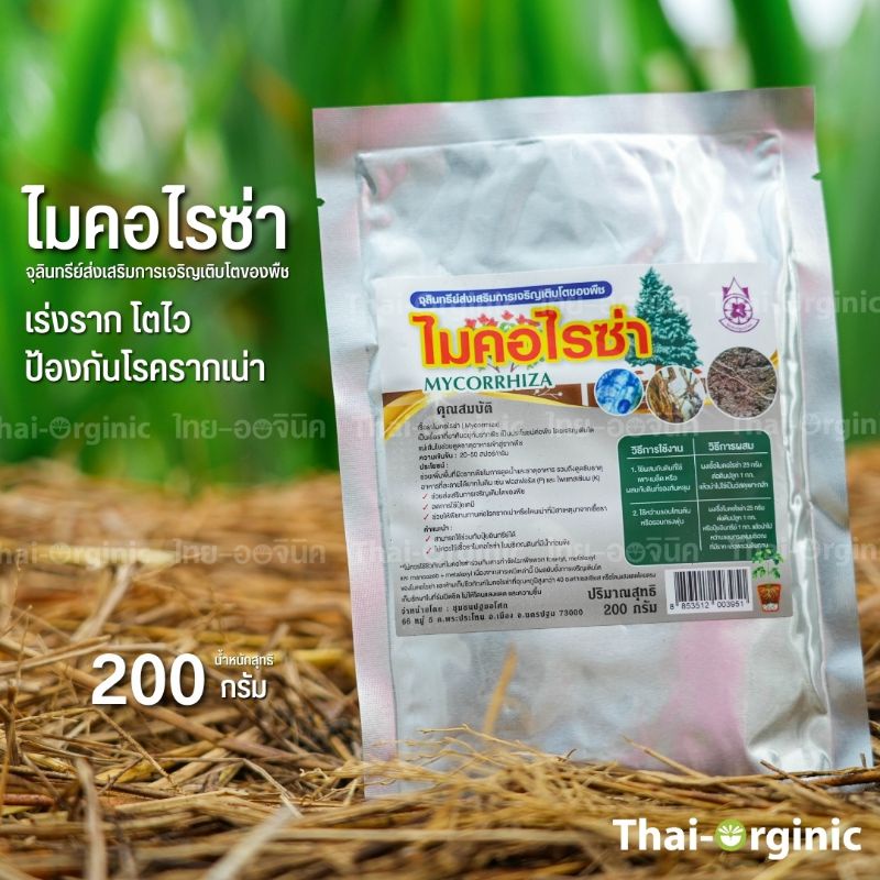 ไมคอไรซ่า 200 กรัม ไมคอร์ไรซ่า MYCORRHIZA สินค้าล็อตใหม่ล่าสุด ซื้อกับนักวิจัยและผู้ผลิตโดยตรง