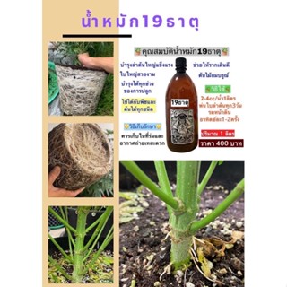 น้ำหมัก19ธาตุบำรุงราก