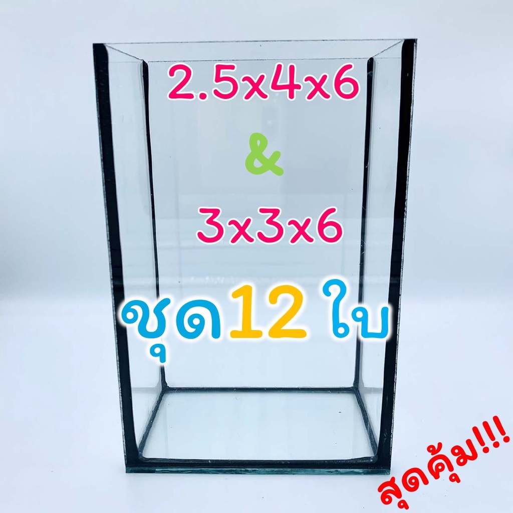 12 ใบ! โหลปลากัดขนาด 3x3x6 นิ้ว และ 2.4x5x6 นิ้ว หนา 3 มิล