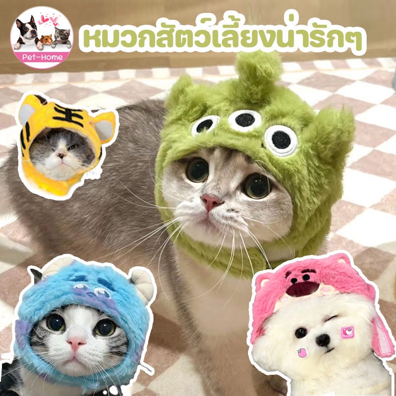 COD สัตว์เลี้ยงหมวก หมวกแมว