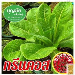 เมล็ดผักสลัด กรีนคอส 100 seed (ซื้อ10 แถม1) / เมล็ดพันธุ์ / เมล็ดพันธุ์พืช / เมล็ดผัก คุณภาพดี อัตราการงอกสูง พร้อมคำ/种子