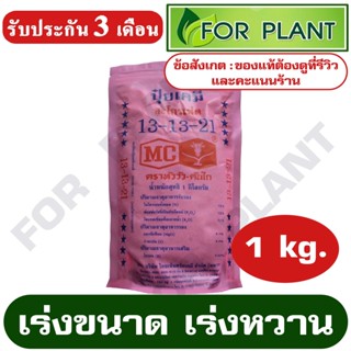 ปุ๋ย สูตร 13-13-21 ตราหัววัว (สินค้าตรงปก) บรรจุ 1 กิโลกรัม ปุ๋ย เร่งขนาด เร่งผล เร่งหวาน ใส่ผัก ผลไม้ ปุ๋ยไม้ดอกไม้ประด