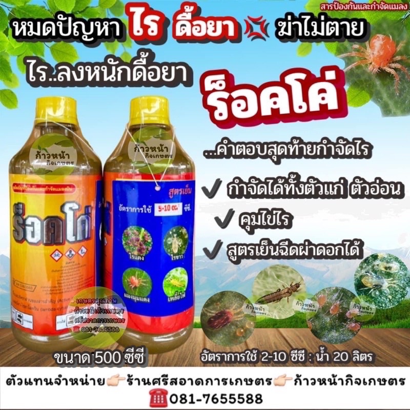ร็อคโค่ กำจัดไรดื้อยา ตัวแก่ ตัวอ่อน ยาเย็นฉีดผ่าดอกได้ไม่เป็นอันตรายต่อพืช