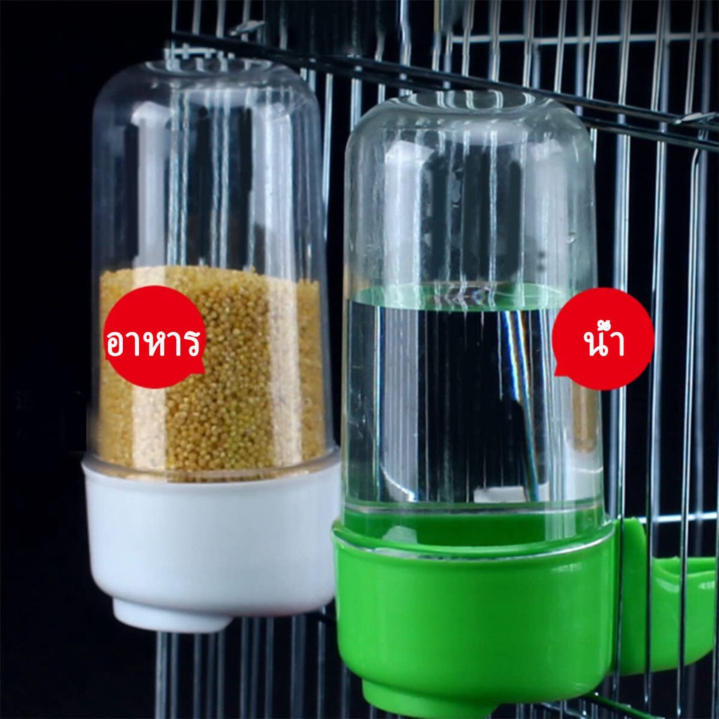 All About Pet ที่ให้อาหารนก ที่ให้น้ำนก หลอดให้น้ำ ที่ป้อนอาหารนก ขวดน้ำนกแก้ว เหมาะสำหรับนก คละสี