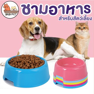 【B036】BABY PET 🐶😺 ชามพลาสติกสัตว์เลี้ยงชามอาหาร ชามสุนัข ชามแมว ชามหมา ชามสัตว์เลี้ยpet cute small bow 🍛💦