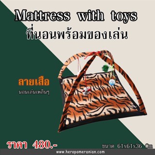ที่นอนและของเล่น ลายเสือ นุ่มน่ารัก