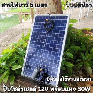 ปั้มน้ำโซล่าเซลล์ ปั้มโซล่าเซลล์ 12V ปั้มโซล่าเซลล์ dc แผงโซล่าเซลล์ 30W โซล่าเซลล์ปั้ม ปั้มจุ่มโซล่าเซลล์ ปั้มโซล่า ปั้