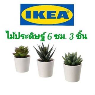 ต้นไม้ปลอมอิเกีย,อีเกีย, ikea,ต้นไม้ประดิษฐ์อิเกีย,อีเกีย, ikea,ต้นไม้ประดับ,ต้นไม้จิ๋ว