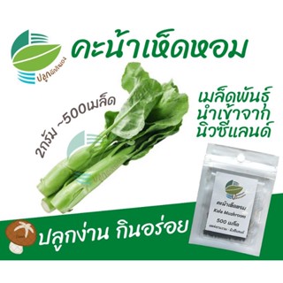 คะน้าเห็ดหอม ~500 เมล็ด (2กรัม)