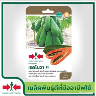 ผลิตภัณฑ์ใหม่ เมล็ดพันธุ์ 2022East-West Seed เมล็ดอวบอ้วนมะละกอ (Papaya seeds) เรดโนวา F1 เมล็ดอวบอ้วนผัก เมล็ด /ดอก MKS