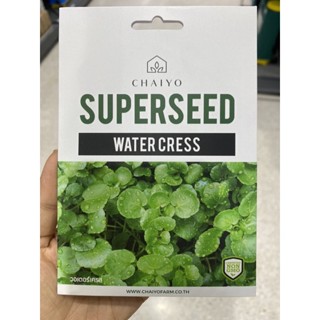 เมล็ดพันธุ์ วอเตอร์เครส ( Water Cress Seed ) บรรจุ 450 เมล็ด