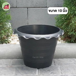 กระถางบัว กระถางปลูกบัว พลาสติก ขนาด 10-12นิ้ว อ่างปลูกไม้น้ำ