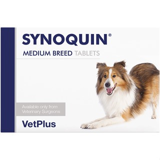 [VetPlus] SYNOQUIN Medium Breed for Dogs(30 Tablets) / อาหารเสริมร่วม / อาหารเสริม