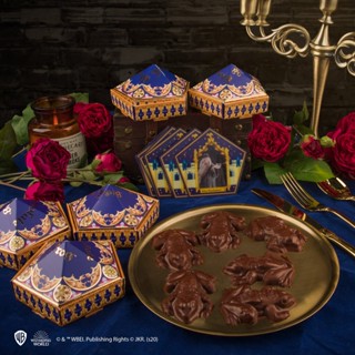 Chocolate Frog Mold + 12 Wizard Cards + 6 DIY boxes กบช็อกโกแล็ตDIY