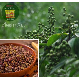 花椒青花椒 ฮวาเจียวแบบเม็ด ฮวาเจียวแห้ง ฮวาเจียวแดง ฮวาเจียวเขียว 100g. สำหรับปรุงรส