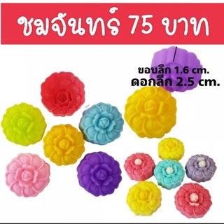 พิมพ์ซิลิโคน ดอกชมจันทร์ ขนาด 5 ซม. (จำนวน 12 ชิ้น/โหล)