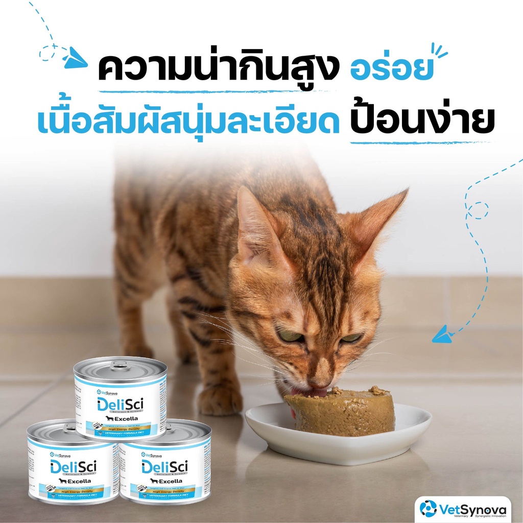 DeliSci Excella Excellent for recovery อาหารฟื้นฟูสําหรับสัตว์ป่วย ขาดสารอาหาร และพักฟื้นหลังการผ่าตัด สูตรไก่และสูตรปลา